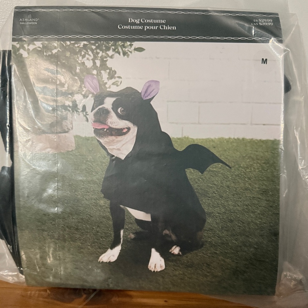 Ashland Bat Dog Halloween Costume - Sz: M
